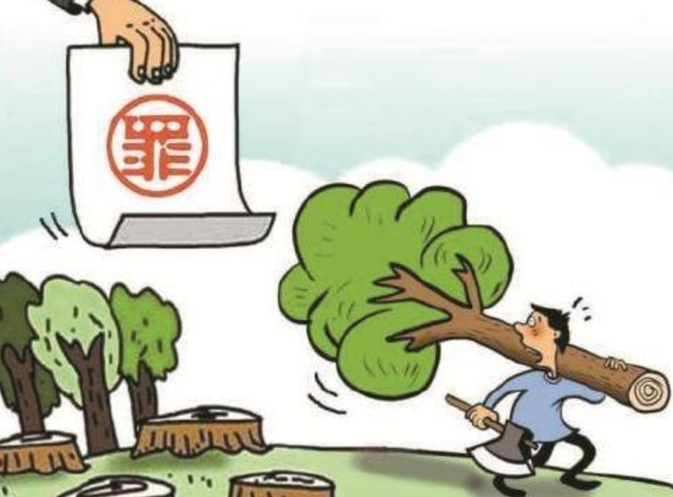 见“材”起意,不仅获刑还得赔