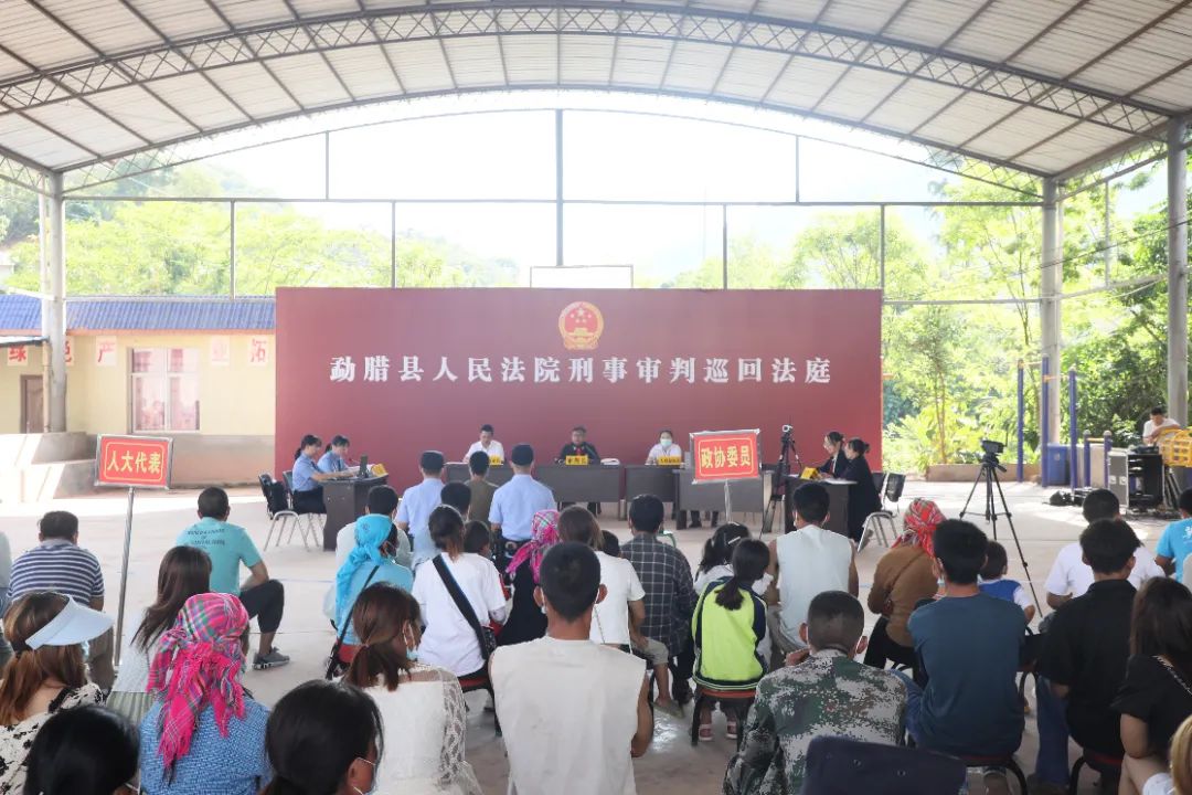 2人从老挝走私活体牛被判刑