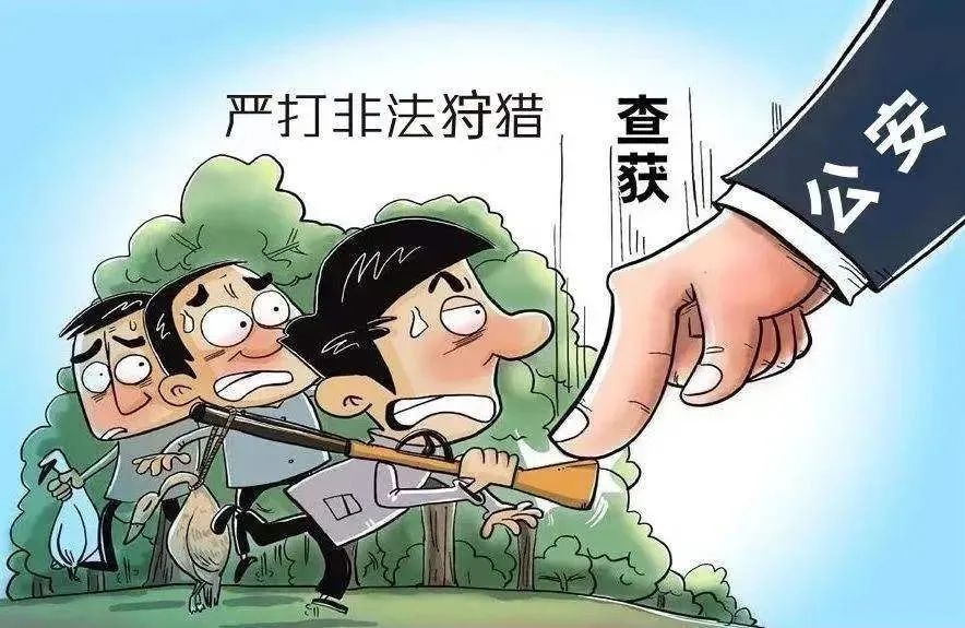 网购气枪狩猎野兔 获刑三个月