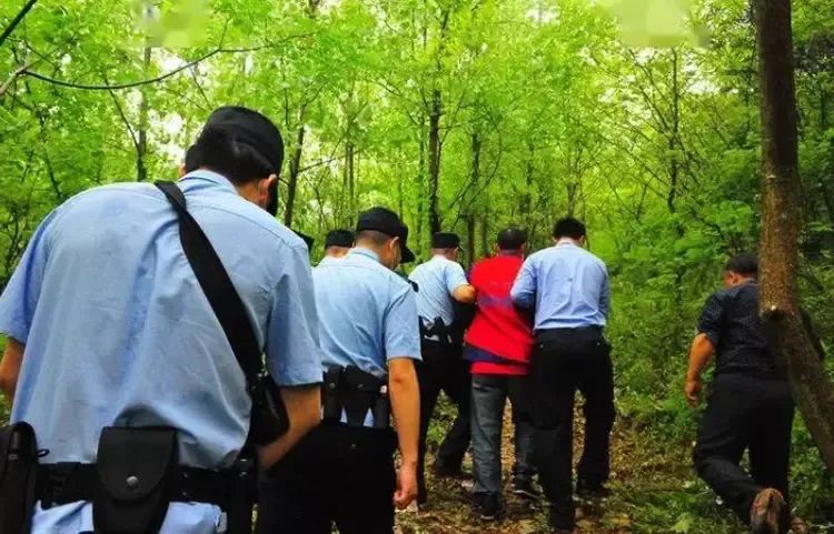 老实人的绝望怒火！砍一根树枝索赔2万，商洛老汉连夺7命