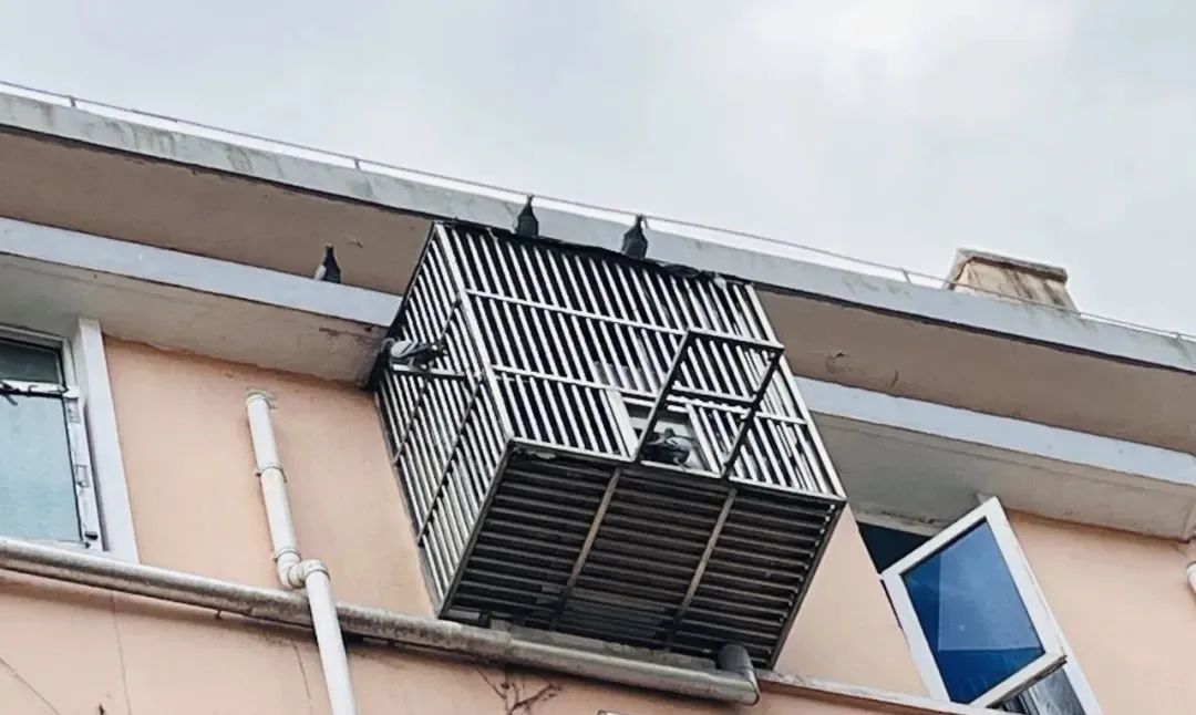 窗口私搭“鸽子笼”?联动合力解民忧