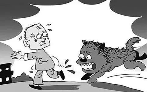 养狗不栓绳,五旬老人被咬。法院判决,赔!