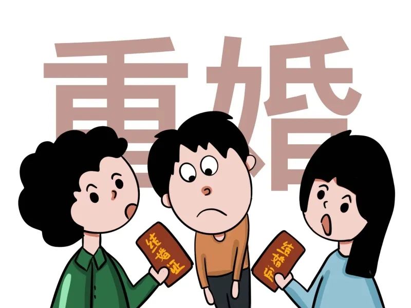 隐瞒婚姻事实 另行登记结婚 判刑+赔偿