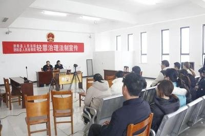 湖北省检察院发布轻罪治理典型案例