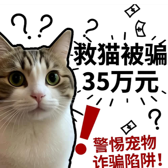 救猫被骗35万元，警惕宠物诈骗陷阱！