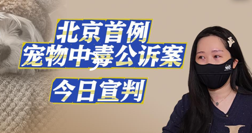 北京首例宠物投毒公诉案宣判！投毒致 11 只宠物死亡，为何判有期徒刑 4 年？