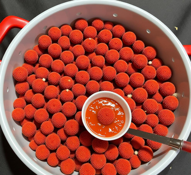 远程指挥非法捕捞红珊瑚二百余斤，怎么判？